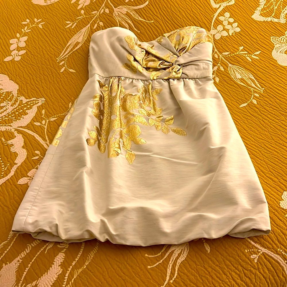 Tibi Strapless Dress